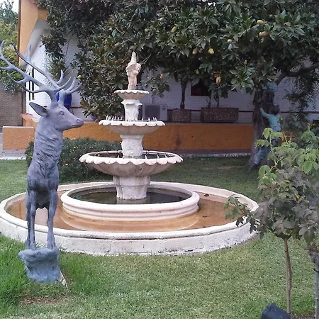 Hotel Gines Gines